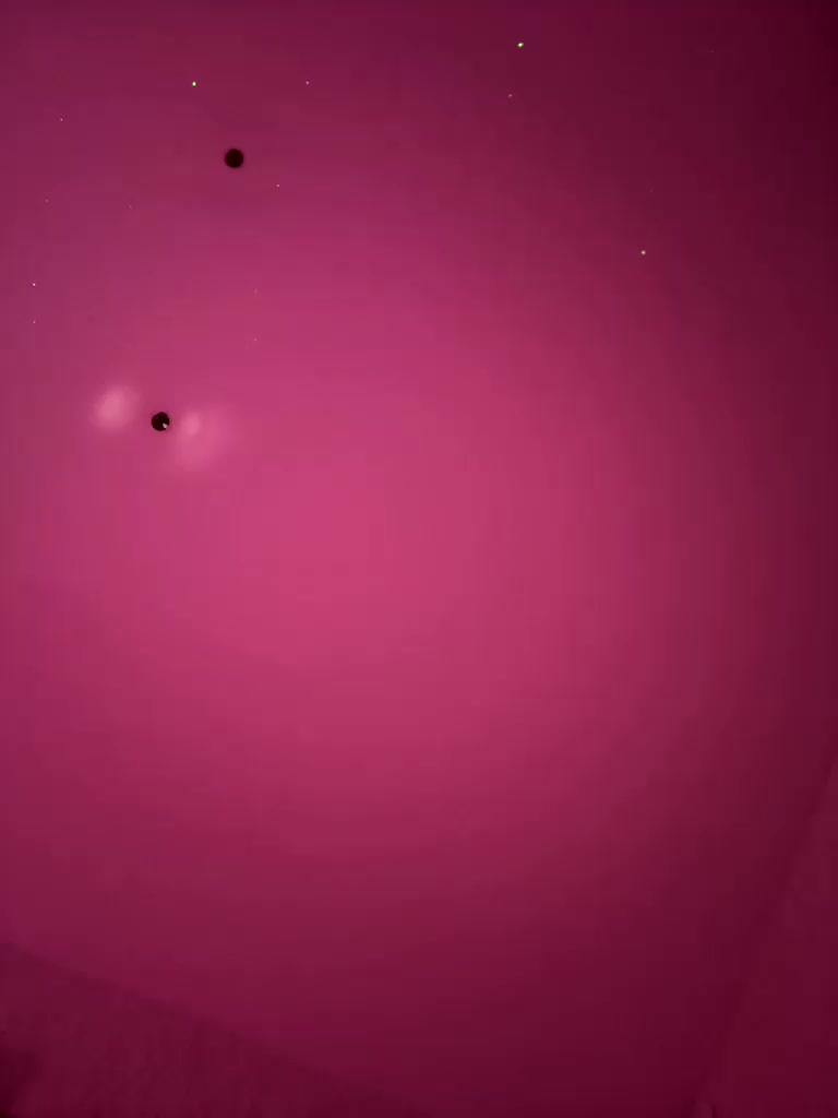 VIP17CoupleDream Adult Chat January 31, 2026