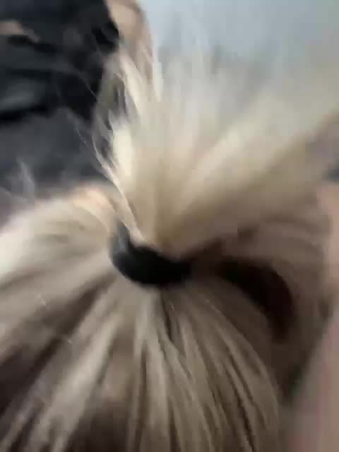 Perverse-family Adult Chat January 31, 2026