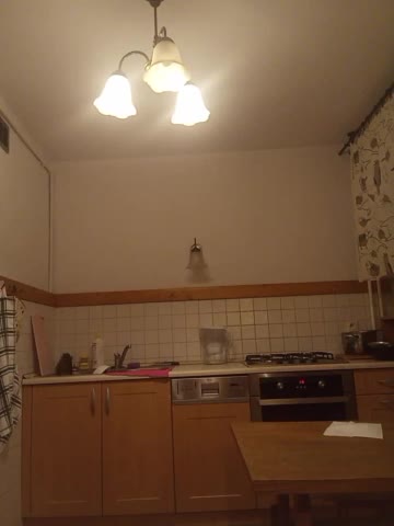 VolshEbnutaya_001 Adult Chat January 31, 2026