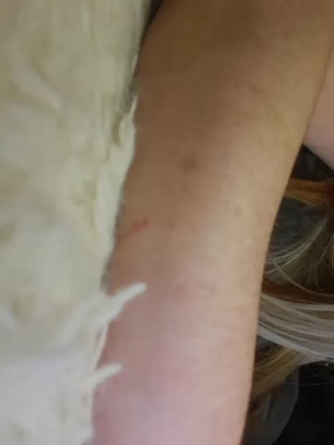 Kimylika Adult Chat January 31, 2026