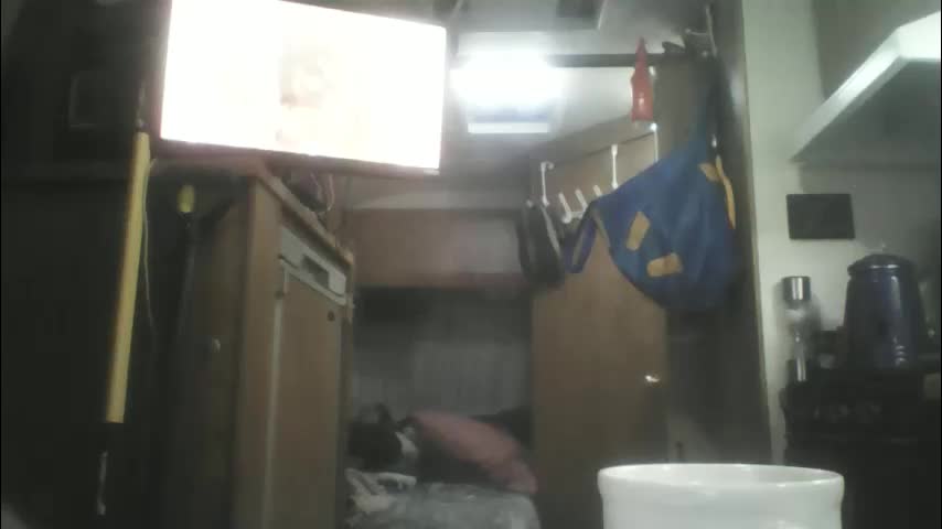 pink_black Adult Chat January 31, 2026