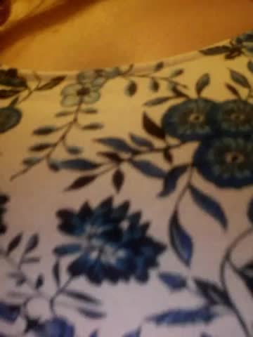 little_pussy Adult Chat January 31, 2026