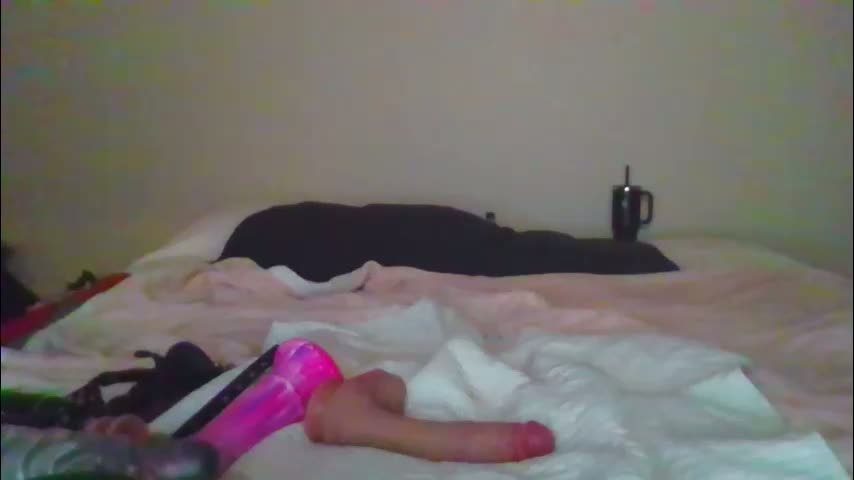 sdbeachfreaks Adult Chat January 31, 2026