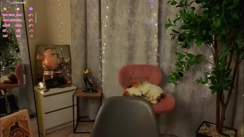 radaberesford Adult Chat January 31, 2026