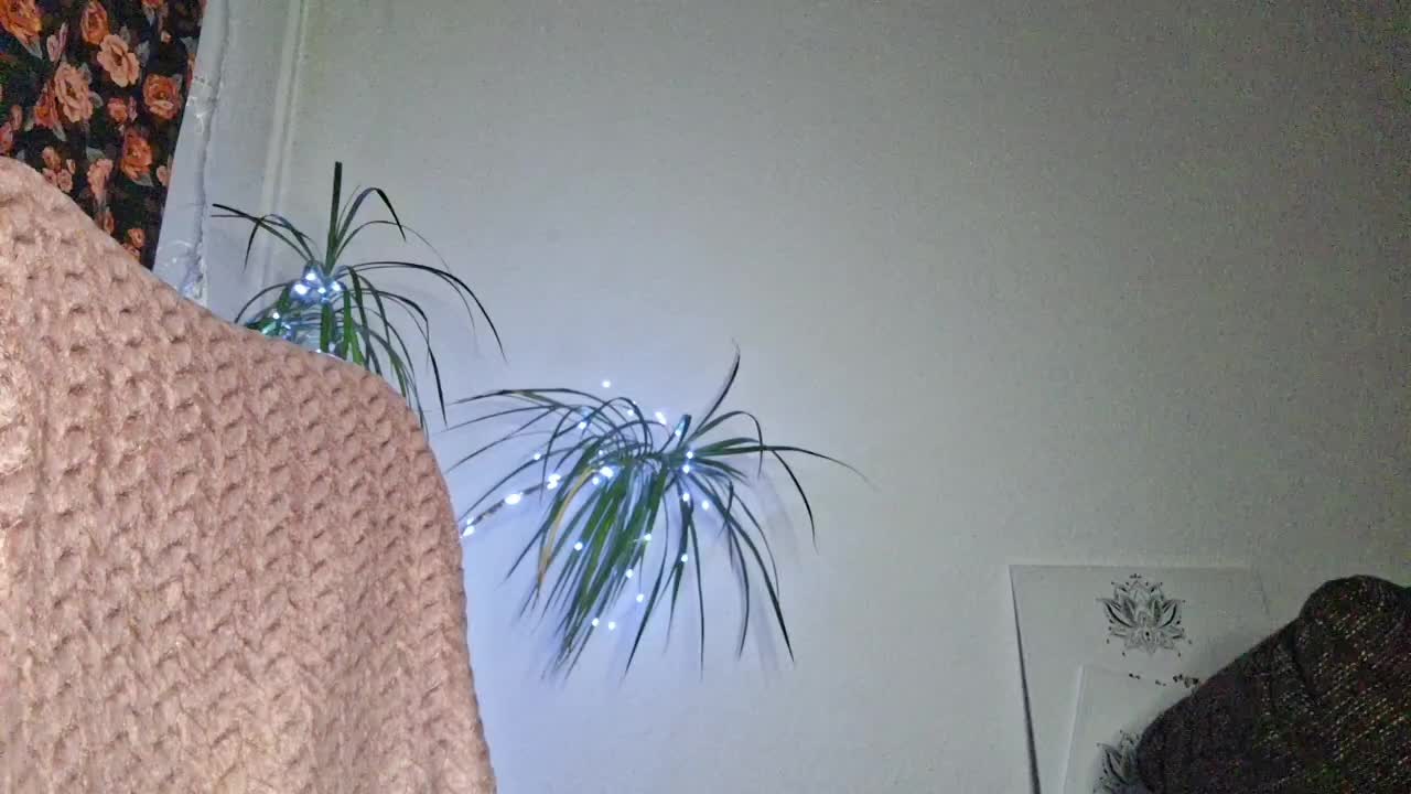 CyndeeWinter Adult Chat January 31, 2026