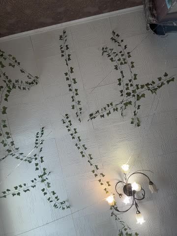 AmmyHot Adult Chat January 31, 2026