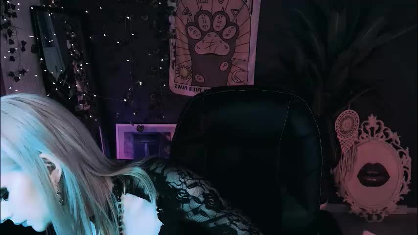 noah_elmer Adult Chat January 31, 2026