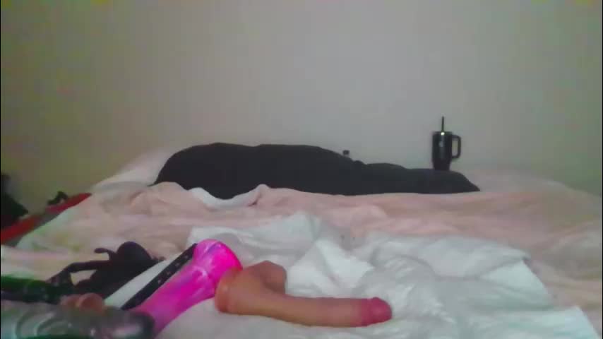 sdbeachfreaks Adult Chat January 31, 2026