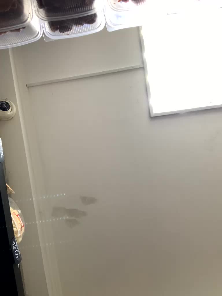 Yummypopka Adult Chat January 31, 2026