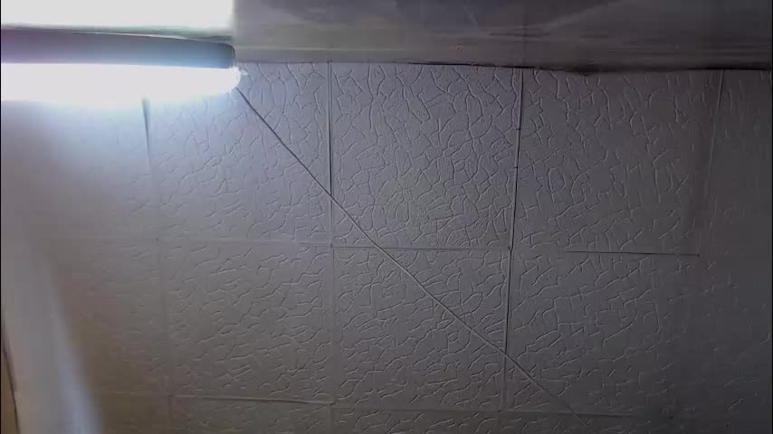 shyredstar Adult Chat January 31, 2026