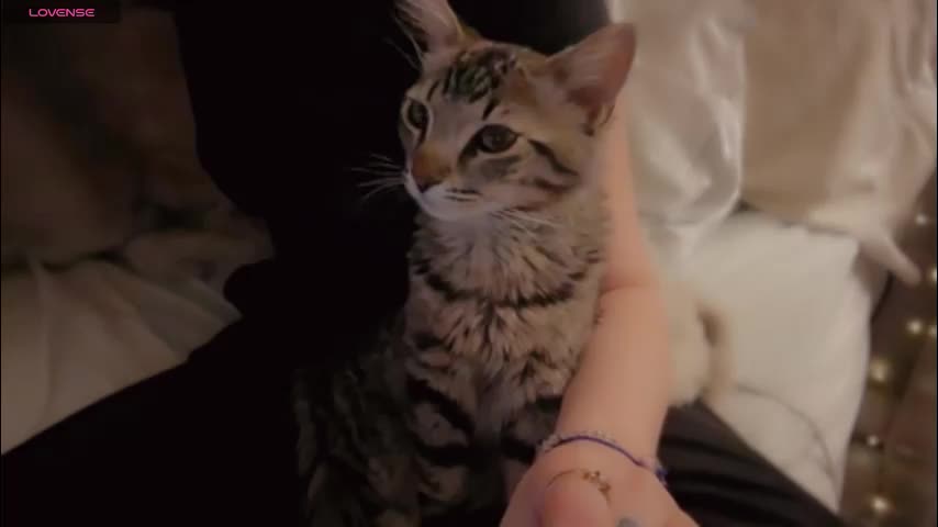 demontriaxx Adult Chat February 1, 2026