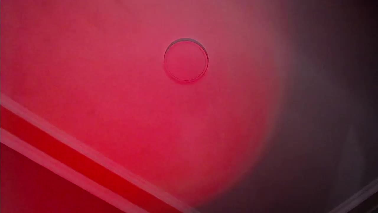 SarinnnaLuv Adult Chat February 1, 2026