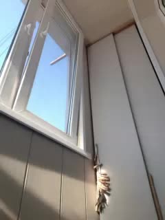 Zlykaa Adult Chat February 1, 2026