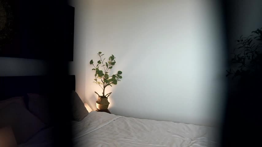 Special___ Adult Chat February 1, 2026