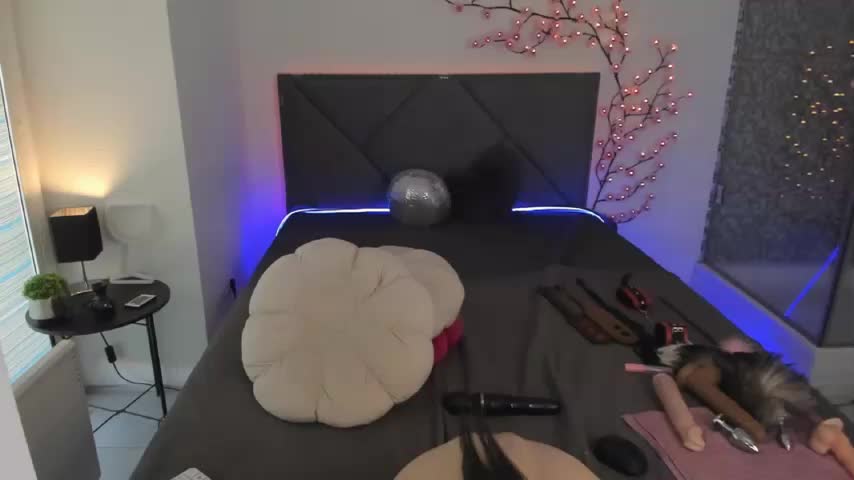 CassieEvans Adult Chat February 1, 2026