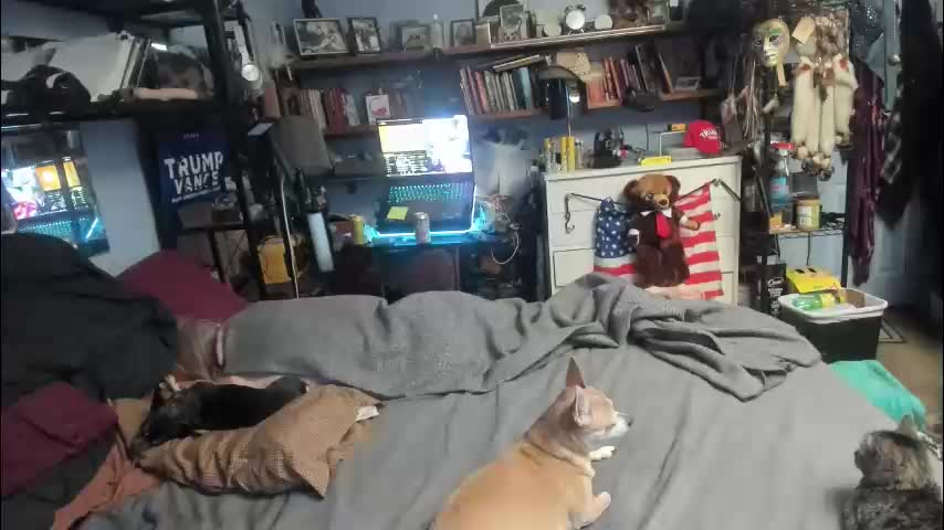 pink_black Adult Chat February 1, 2026