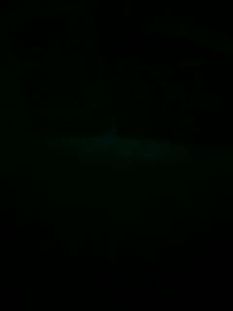 Skripach Adult Chat February 1, 2026