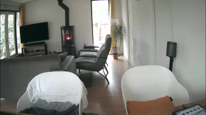 woodwurm Adult Chat February 1, 2026