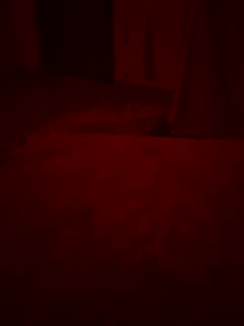 Skripach Adult Chat February 1, 2026