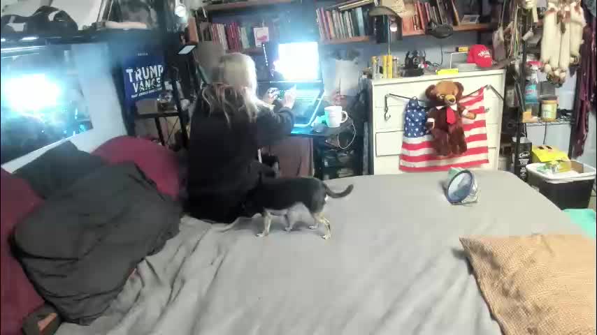 pink_black Adult Chat February 1, 2026