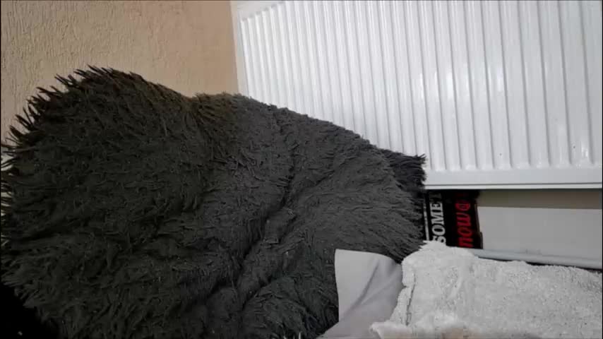 anaworld69 Adult Chat February 2, 2026