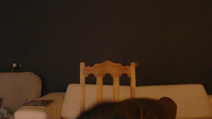 WhiteQueen888 Adult Chat February 2, 2026