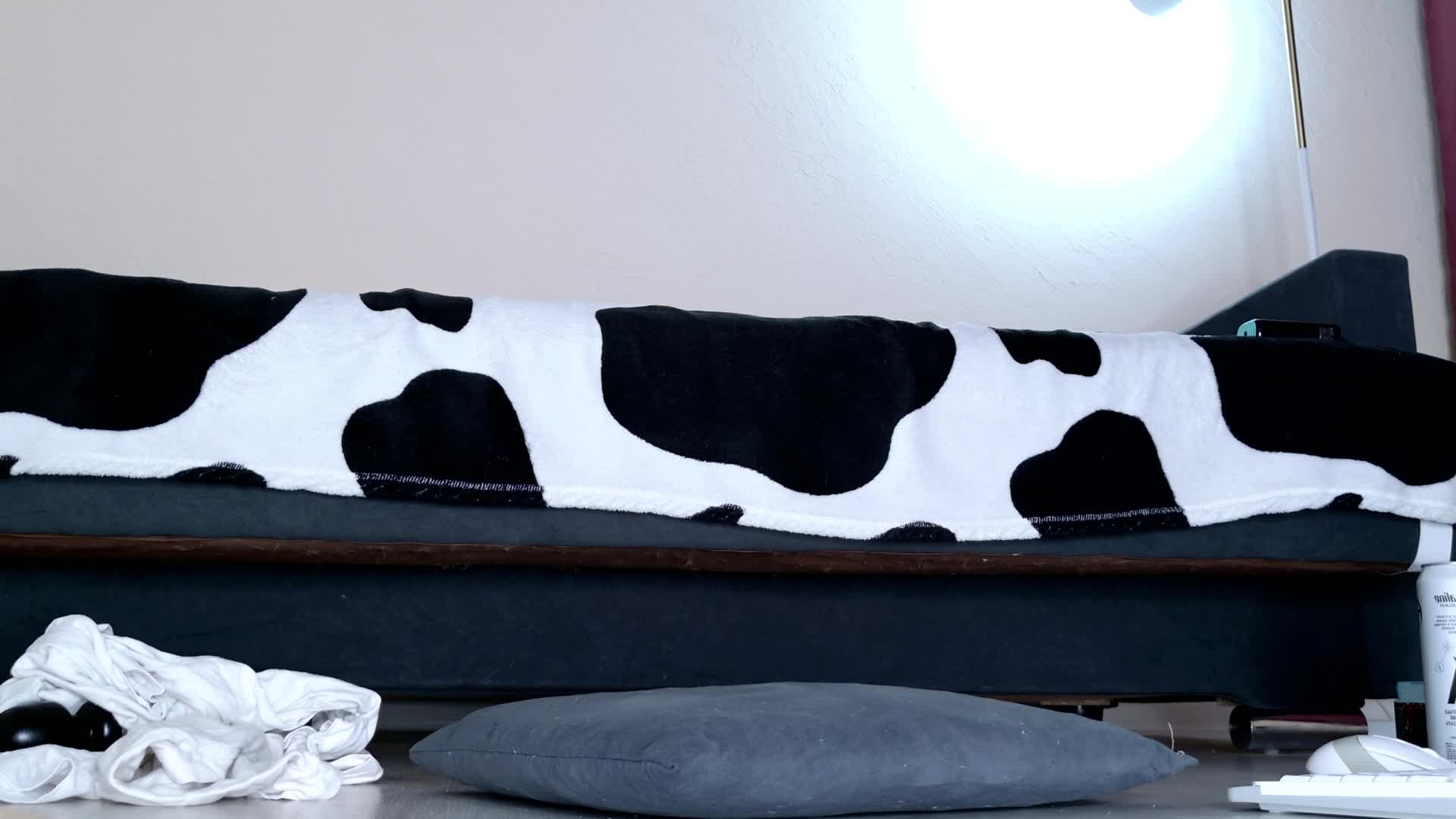 Eva-Rosy Adult Chat February 1, 2026