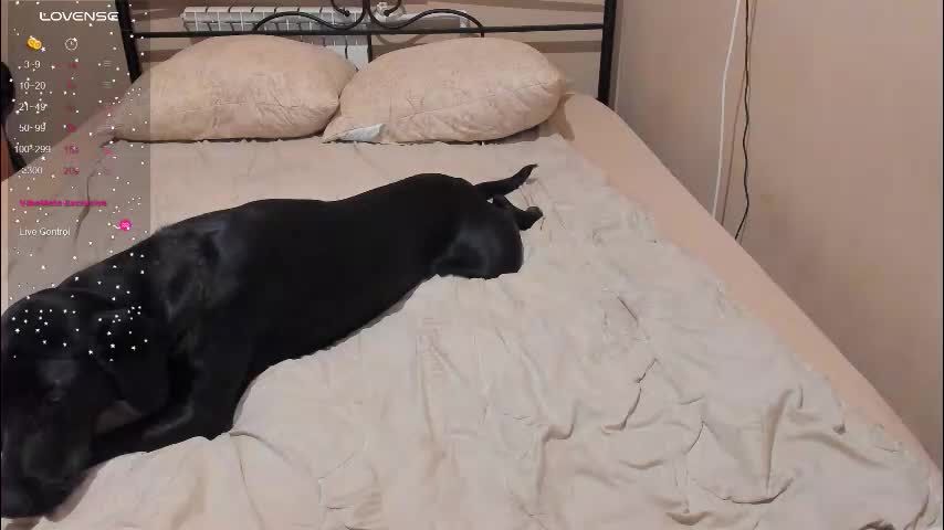 eva_zero Adult Chat February 2, 2026