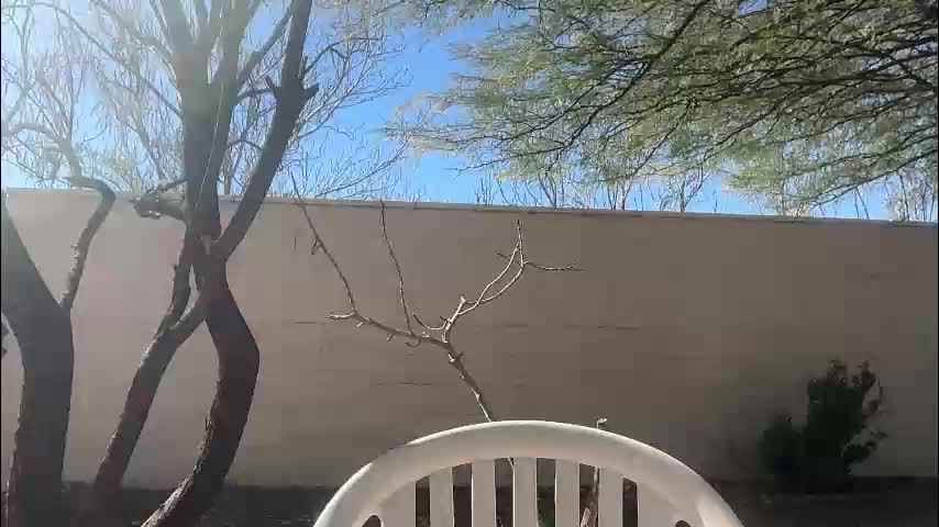 channel022 Adult Chat February 2, 2026