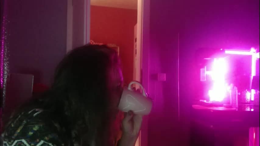 melli23 Adult Chat February 2, 2026