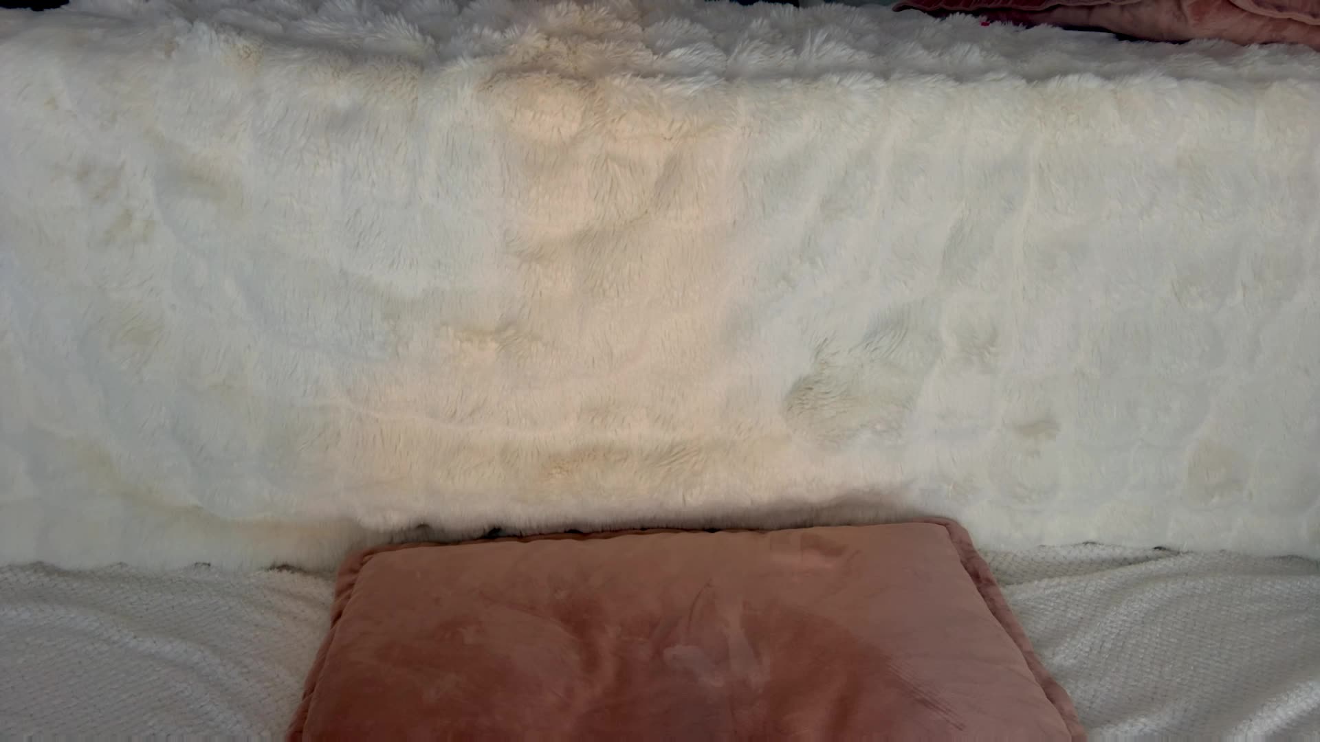 Yana_a Adult Chat February 2, 2026