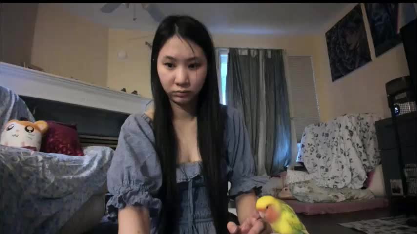 alizezaide Adult Chat February 2, 2026