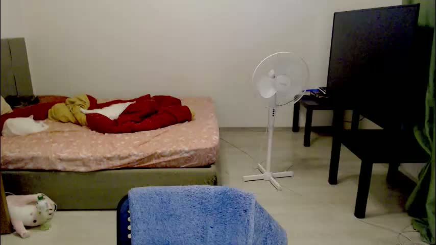 kitten_jenny01 Adult Chat February 2, 2026