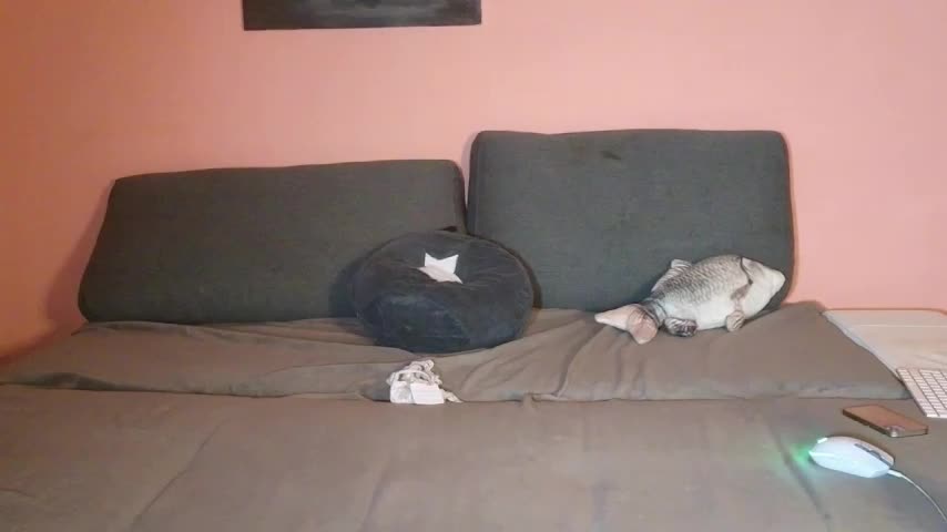 Katusha006 Adult Chat February 2, 2026