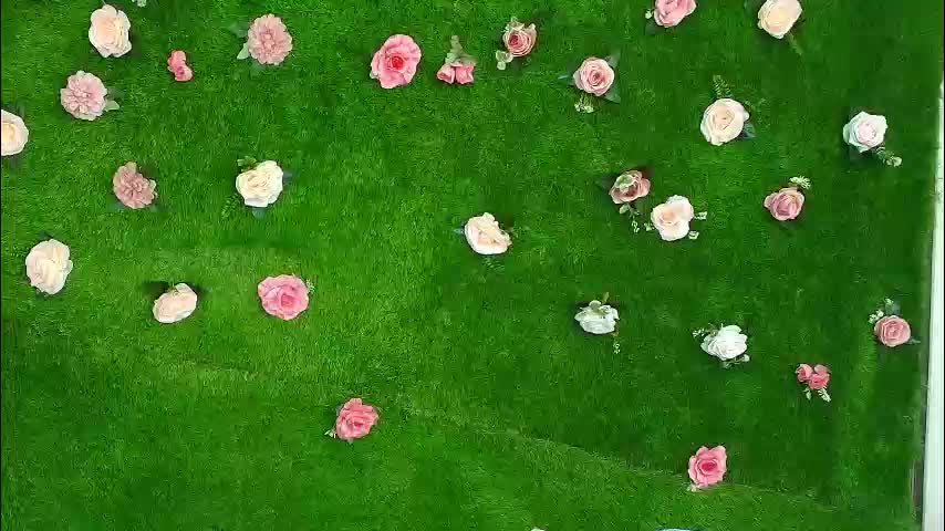 megatitts_ Adult Chat February 3, 2026