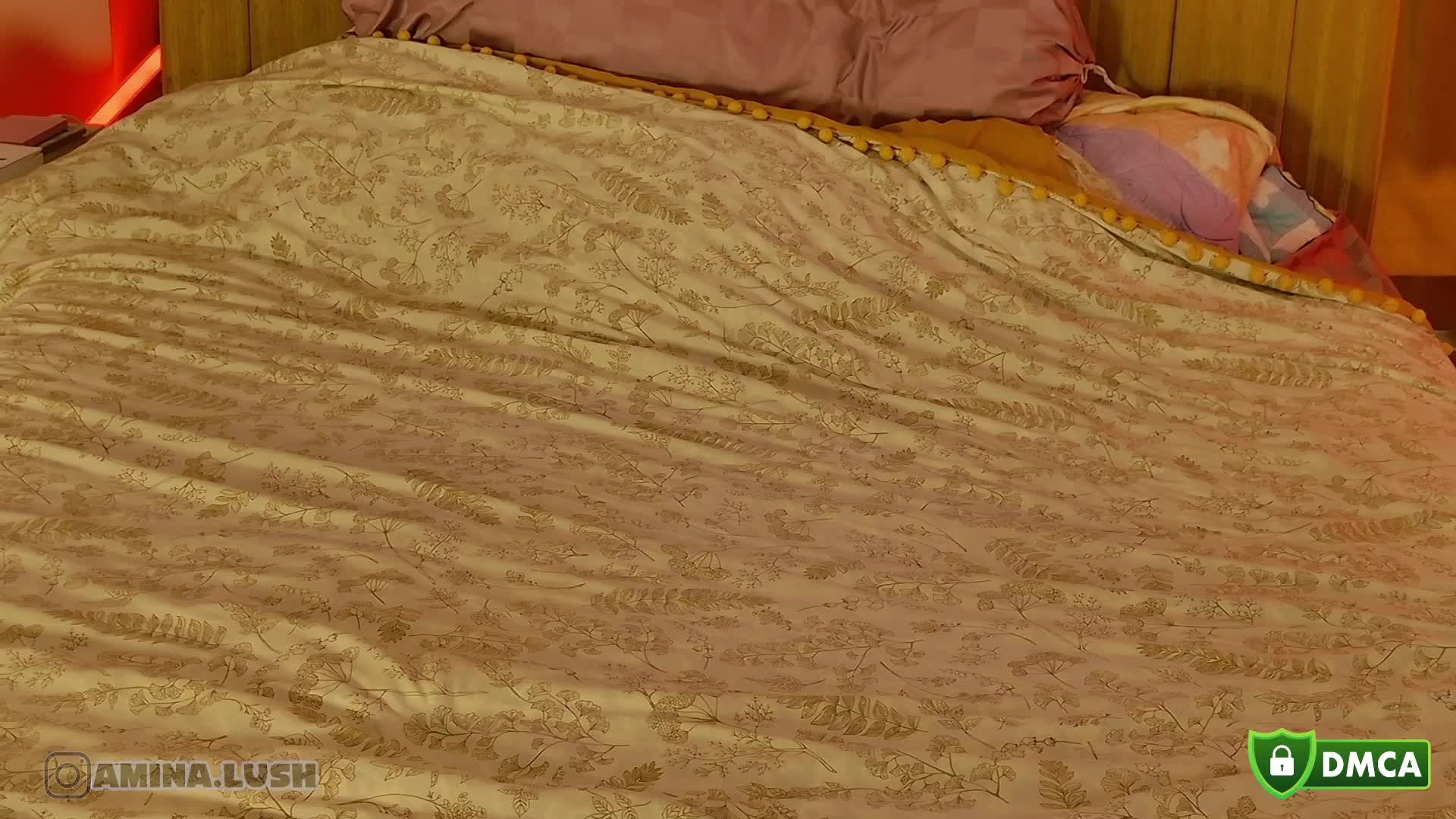 AminaLush Adult Chat February 3, 2026