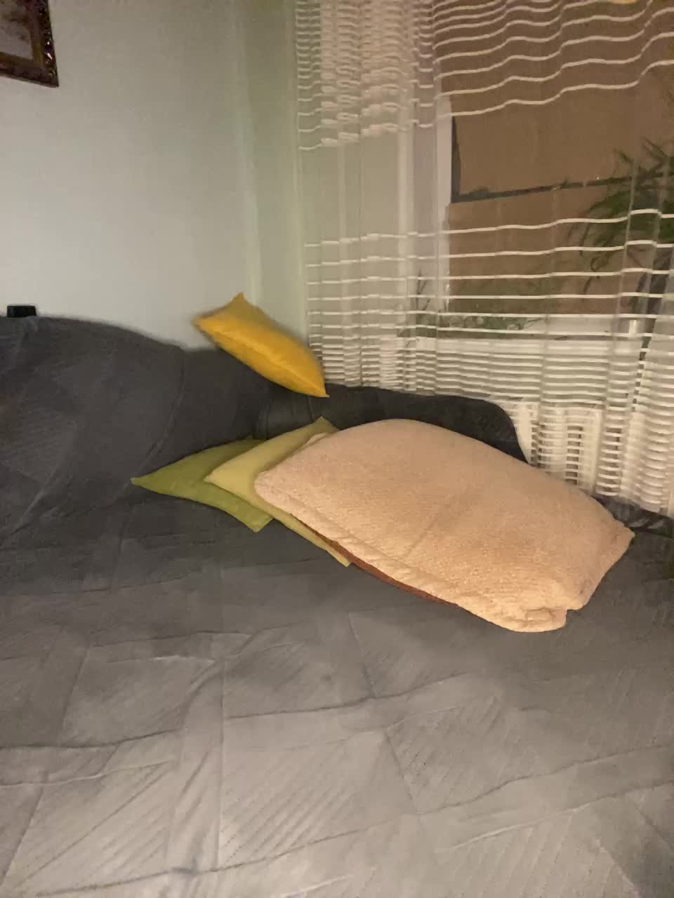 MayLily Adult Chat February 3, 2026