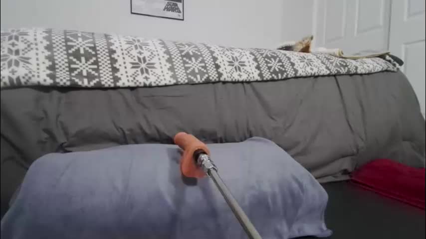 camillacassidy Adult Chat February 3, 2026