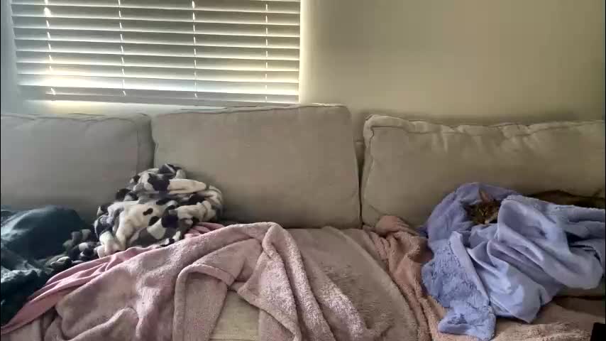 goddessmayvn Adult Chat February 3, 2026