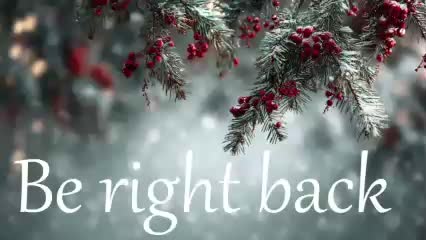 stressygirl Adult Chat February 3, 2026