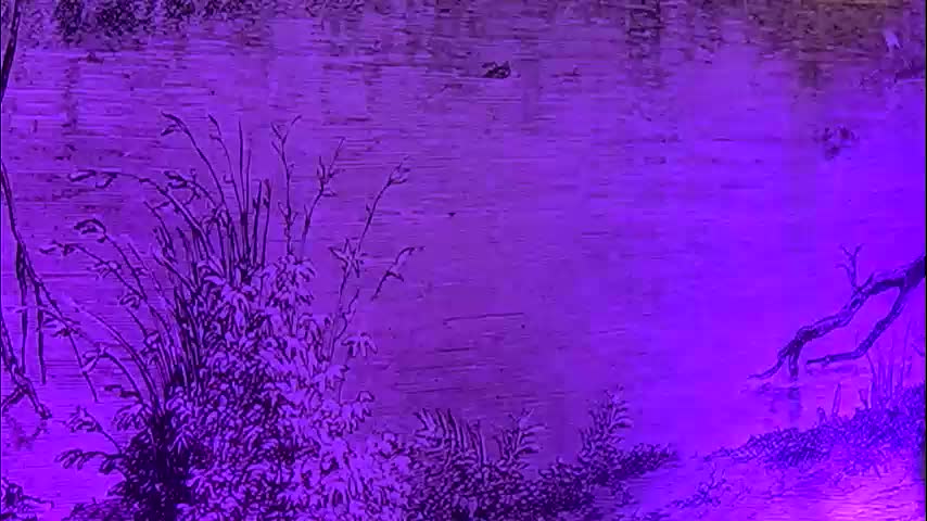 yamirakem Adult Chat February 3, 2026