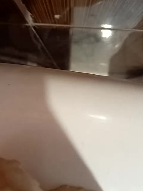 sociopatia Adult Chat February 3, 2026