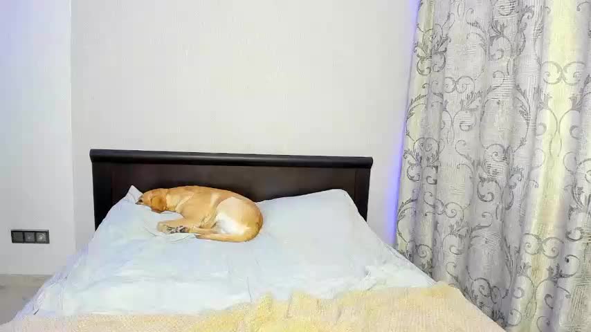 roxxxy_10 Adult Chat February 3, 2026