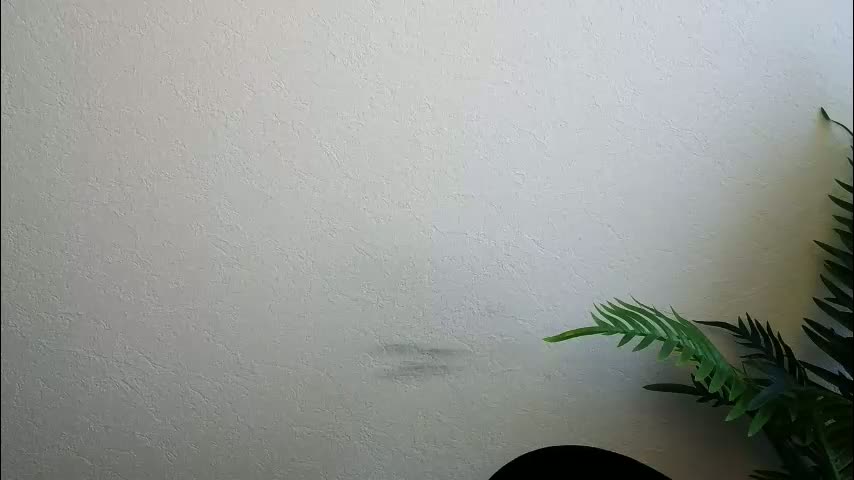 veryveryshygirl Adult Chat February 3, 2026