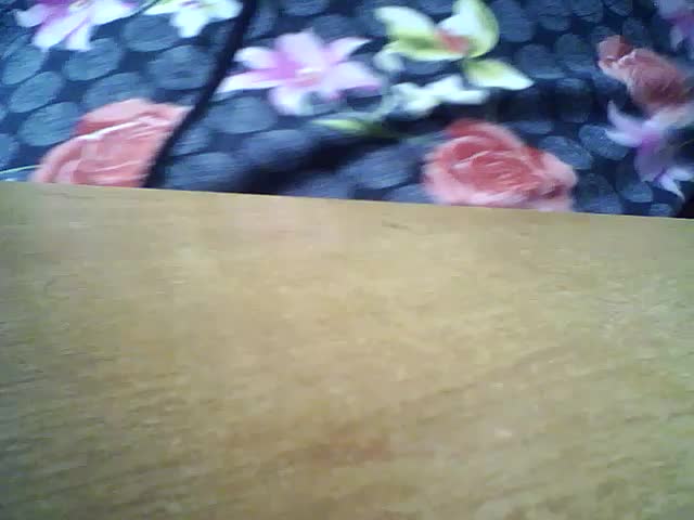 SEKSI-44 Adult Chat February 3, 2026