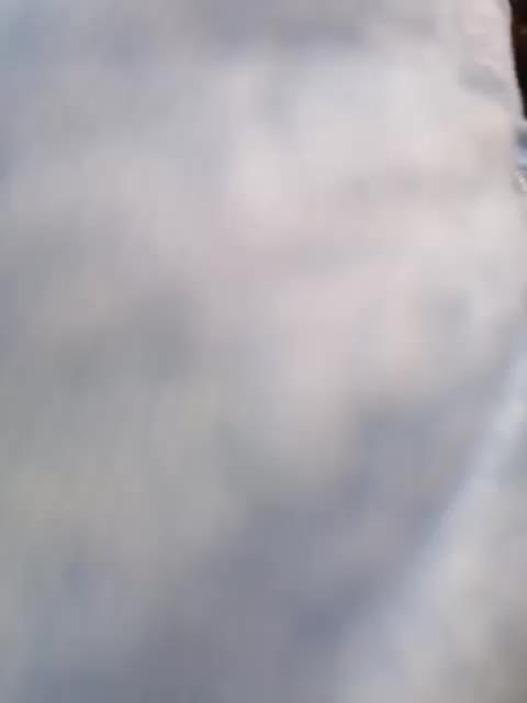 Nika0000 Adult Chat February 3, 2026