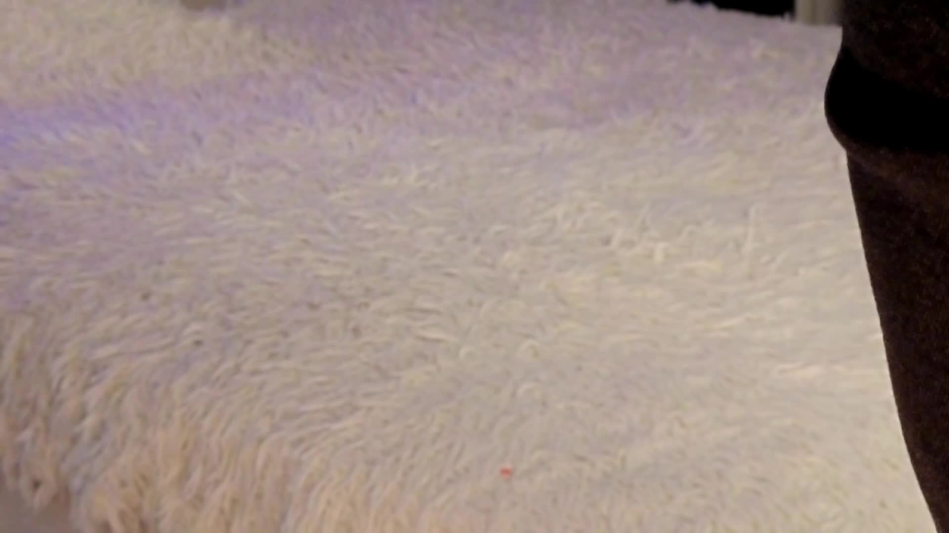 Strawberries_ Adult Chat February 3, 2026