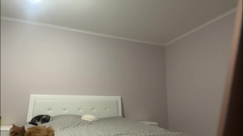 emberfamn Adult Chat February 4, 2026