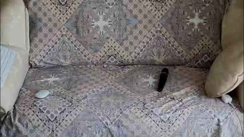 klitores Adult Chat February 4, 2026