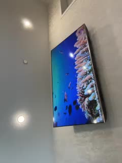 _Ellidi_ Adult Chat February 4, 2026